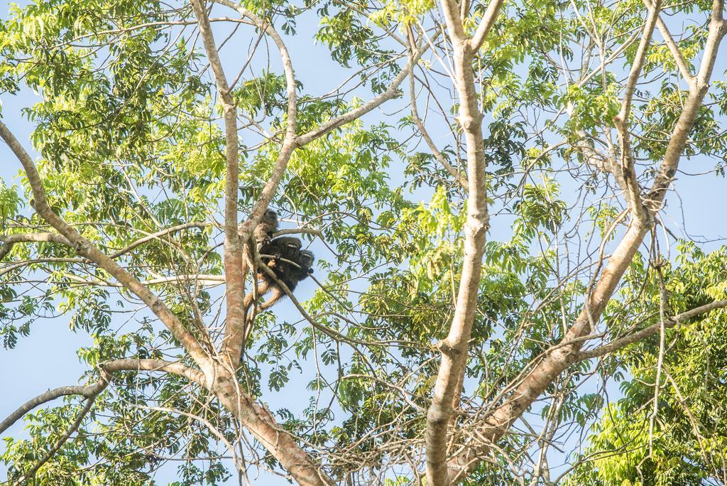Pousada Vila Flor Da Mata Trancoso Buitenkant foto