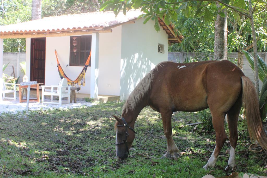 Pousada Vila Flor Da Mata Trancoso Buitenkant foto